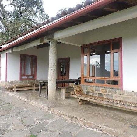 Casa Rural El Ocelote San Antonio (La Vega) Exterior foto